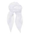 PR740 Premier 'Colours' Chiffon Scarf White colour image
